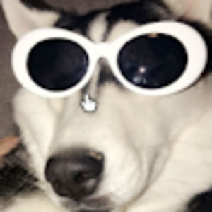 Meet your Posher, Caden